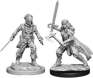 Vampire Hunters (Nolzurs - W08)